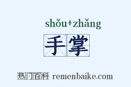 手掌是什么意思的图片